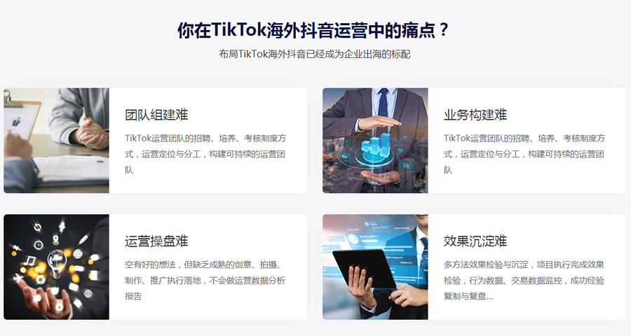 谷歌付费广告Tiktok推广  第4张